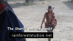 The Sheriff and the Bandit