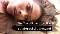 The Sheriff and the Bandit