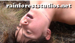 Case of The Violated Babysitter